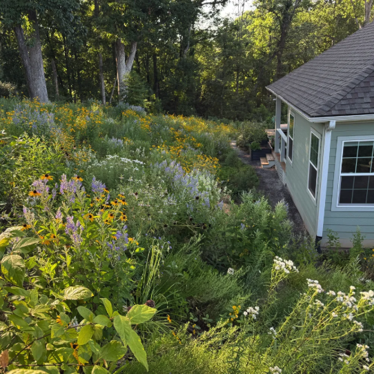 Gardening on Steep Slopes with Drew Lathin - logo